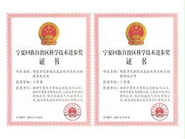 宁夏回族自治区科学技术进步奖证书