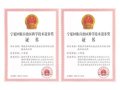 宁夏回族自治区科学技术进步奖证书