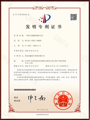 一种电力线路的保护方法发明专利证书